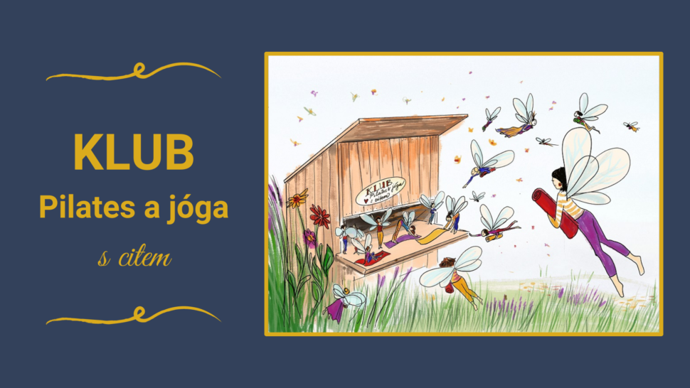 Klub cvičení pilates joga rozcvičky online